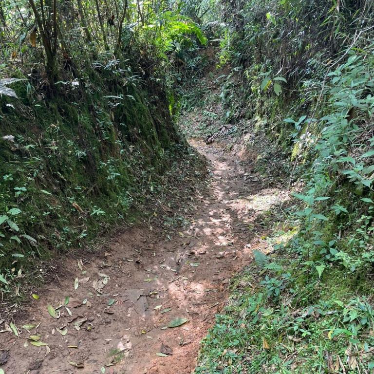 Cabaña campestre cerca a Ecoparque El Salado, Envigado. - Casa con 1 dormitorio - 56