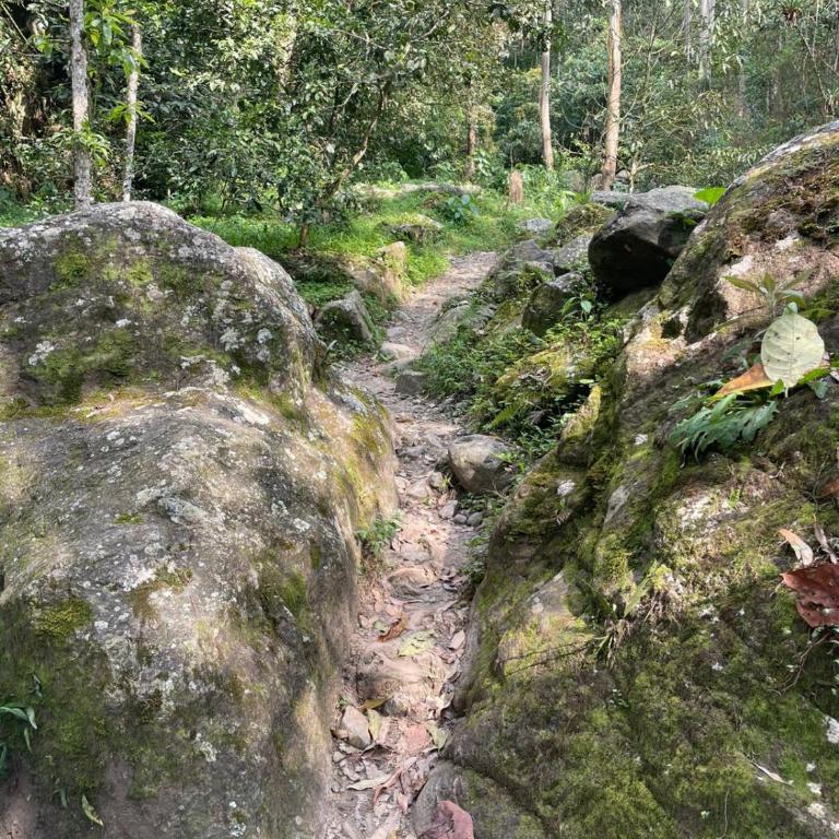 Cabaña campestre cerca a Ecoparque El Salado, Envigado. - Casa con 1 dormitorio - 49
