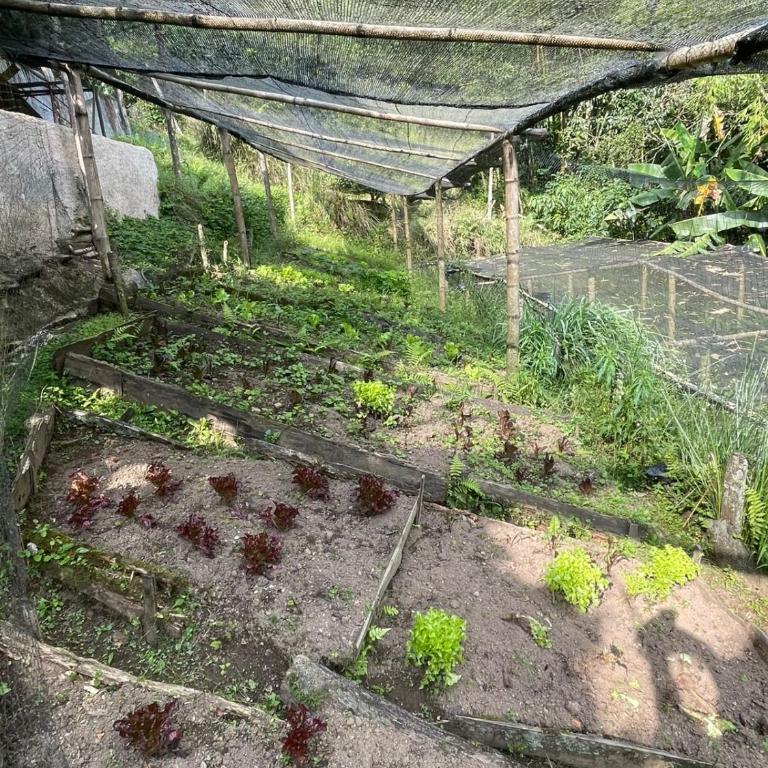 Cabaña campestre cerca a Ecoparque El Salado, Envigado. - Casa con 1 dormitorio - 40