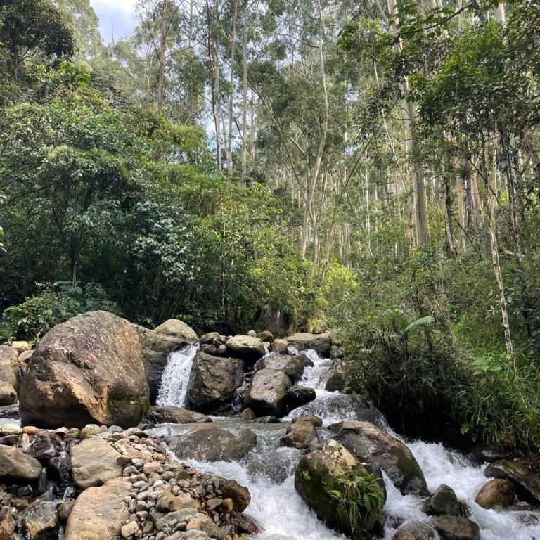 Cabaña campestre cerca a Ecoparque El Salado, Envigado. - Casa con 1 dormitorio - 43