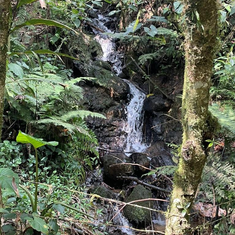Cabaña campestre cerca a Ecoparque El Salado, Envigado. - Casa con 1 dormitorio - 58