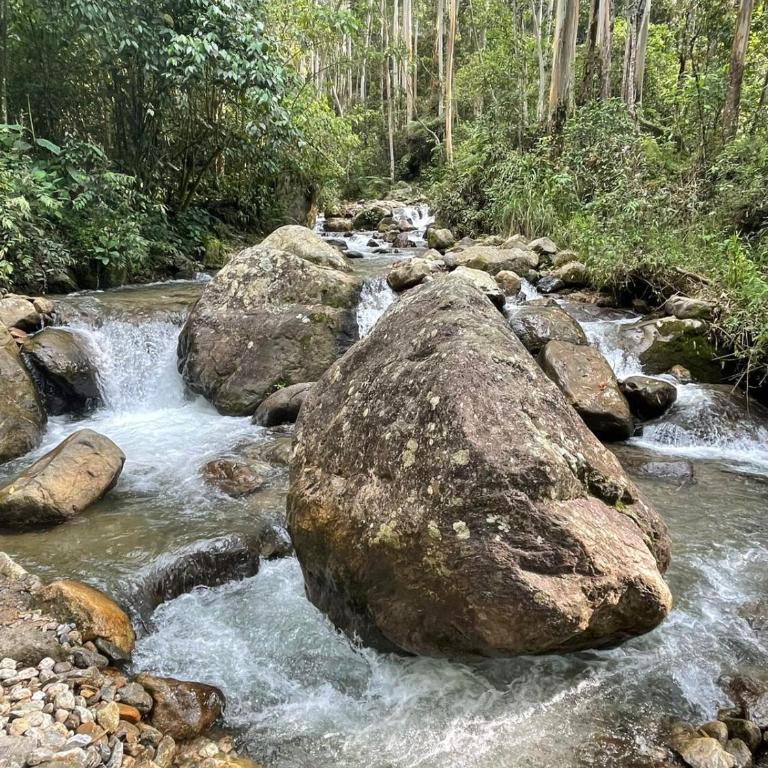 Cabaña campestre cerca a Ecoparque El Salado, Envigado. - Casa con 1 dormitorio - 39