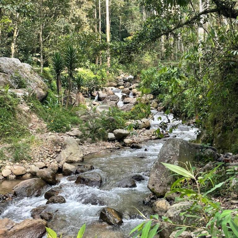 Cabaña campestre cerca a Ecoparque El Salado, Envigado. - Casa con 1 dormitorio - 46