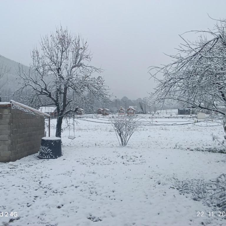 Kamp Suad - Tent - 9