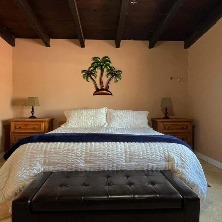 Recently Updated Beachfront Home Casa Neblina - Apartamento - 14