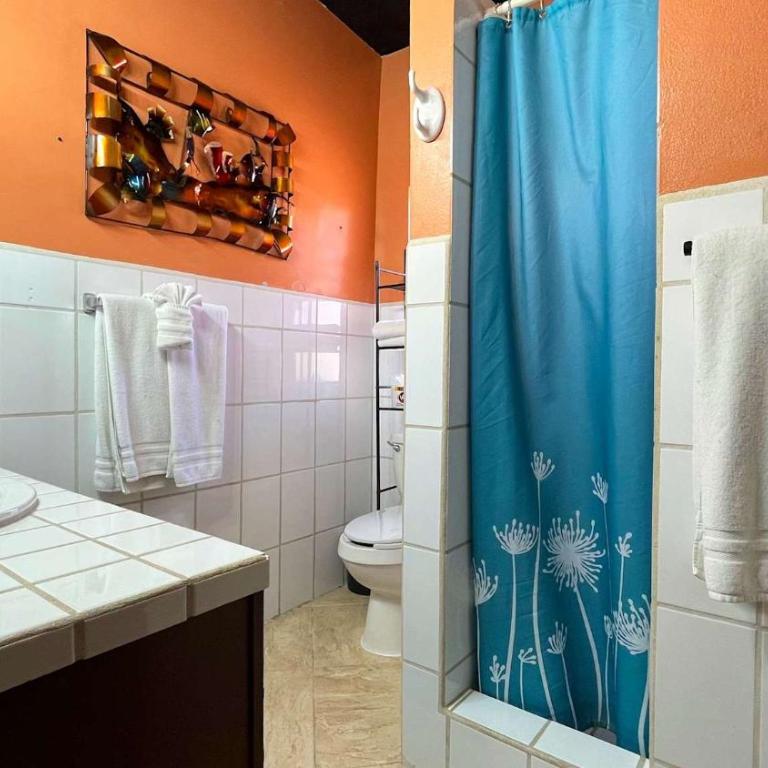 Recently Updated Beachfront Home Casa Neblina - Apartamento - 25