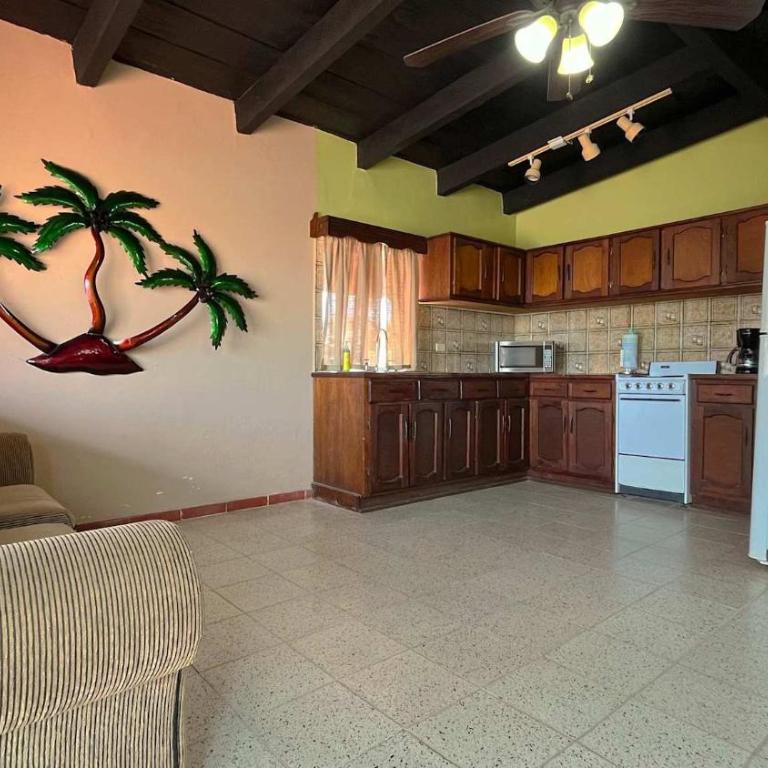 Recently Updated Beachfront Home Casa Neblina - Apartamento - 27