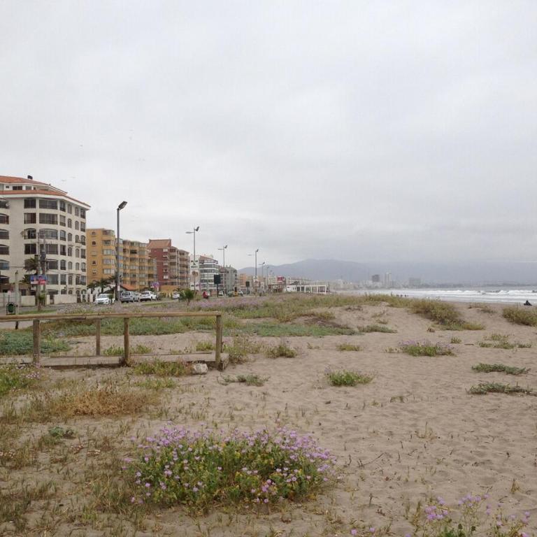 Ocean Front Apartment, La Serena - Two-Bedroom Apartment - 15