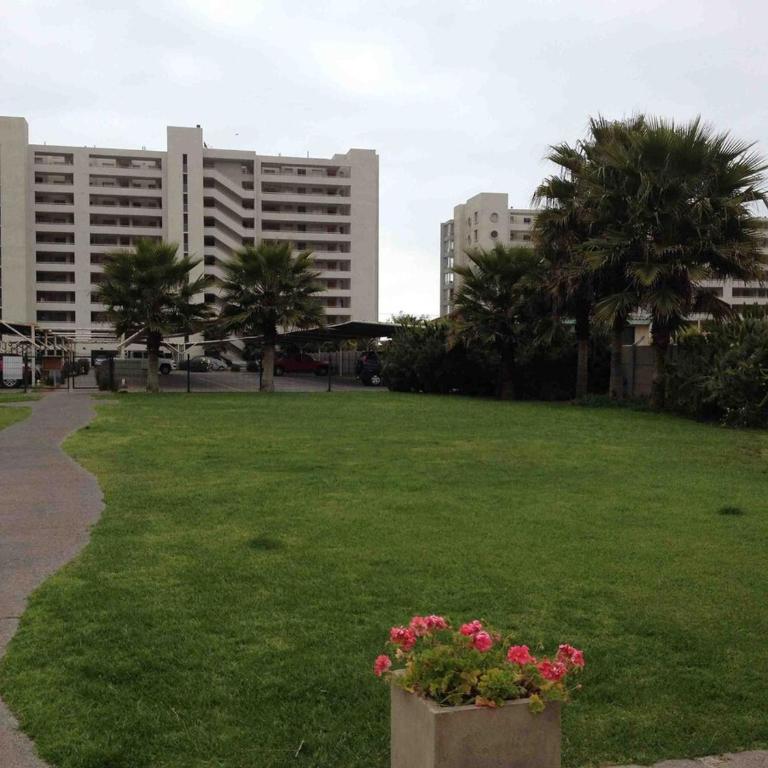 Ocean Front Apartment, La Serena - Two-Bedroom Apartment - 81