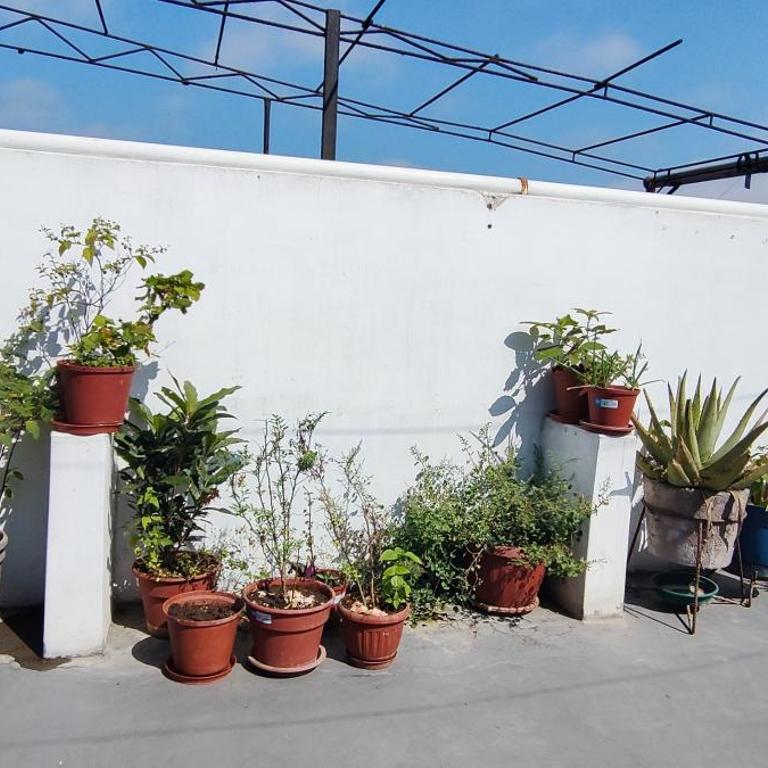 Homestaying Estela - Apartamento de 1 dormitorio - No fumadores - 2