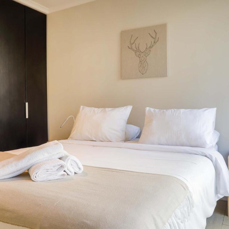 Chic 2BR Unique Stay in the Heart of Providencia - Apartment - 9