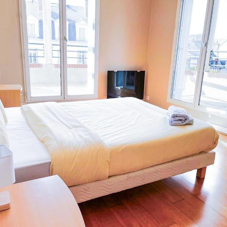 The spacious haven in the heart of Blois - Appartement - 22