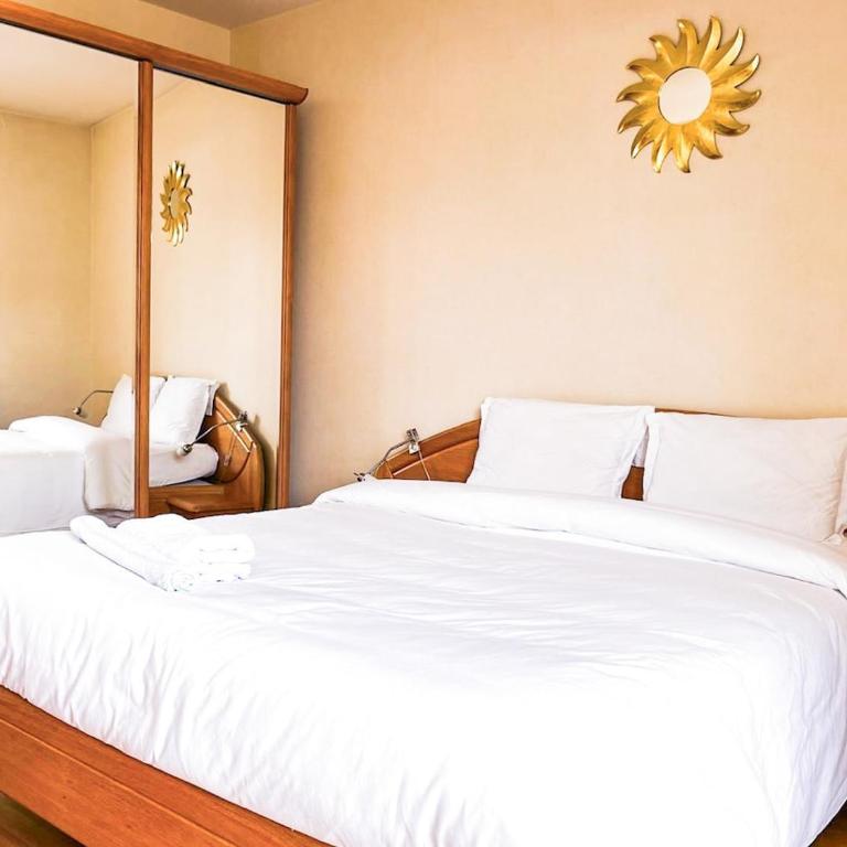 The spacious haven in the heart of Blois - Appartement - 28