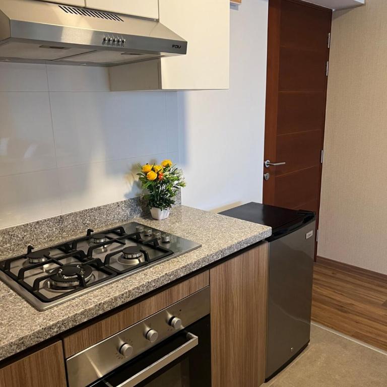 Unique experience in an apartment all for you - One-Bedroom Apartment - 21