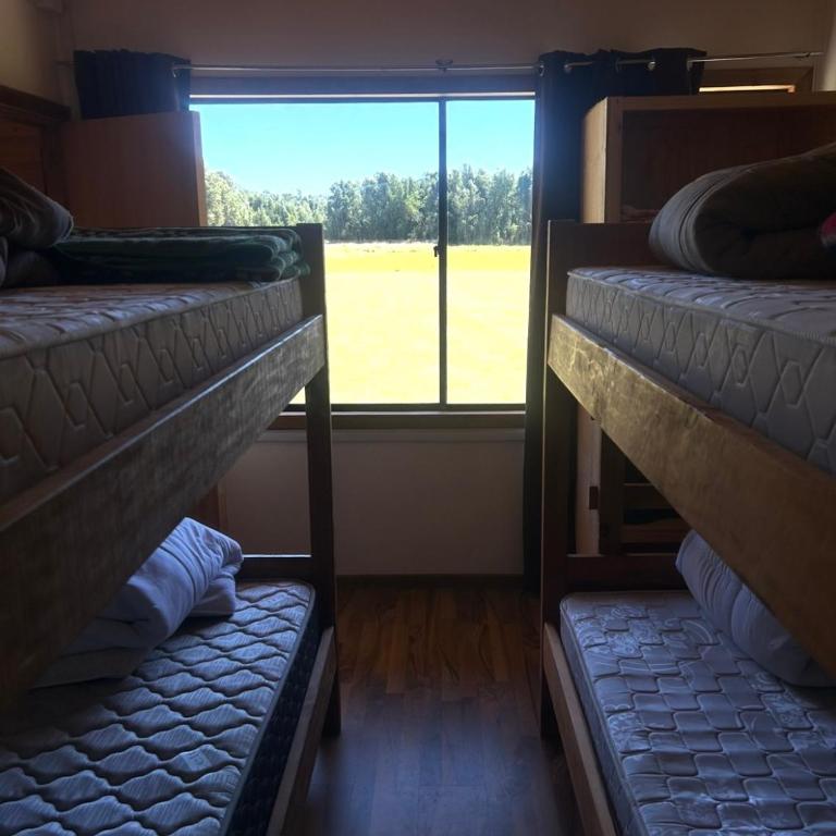 Machi tour - One-Bedroom Apartment - 5