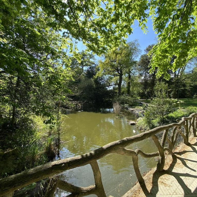 Le Beaumarchais Proche Parc THABOR - Apartment mit 1 Schlafzimmer - 14