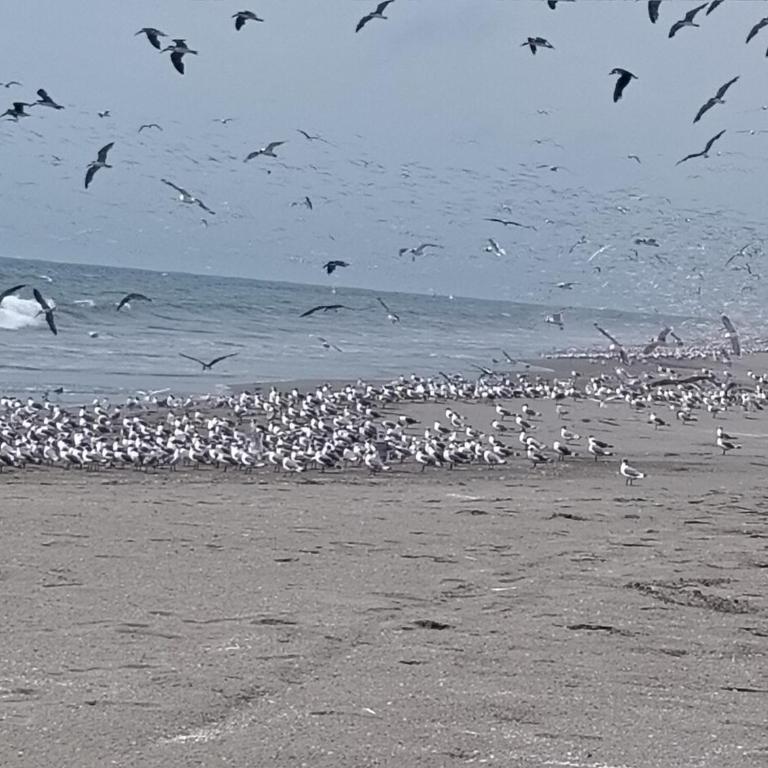 Casa de campo junto al mar - Casa de 4 dormitorios - 11