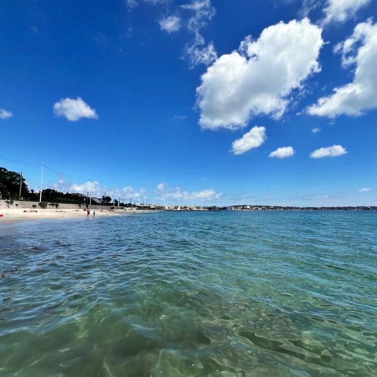 Paradis Lavandes et Mer 450m plage - Appartement 1 Chambre - 16