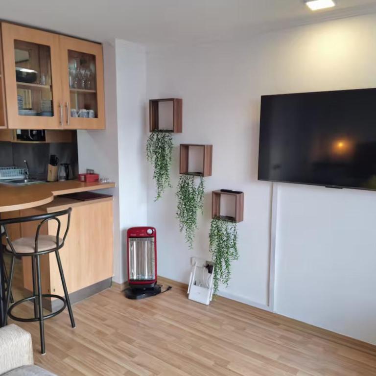 Departamento providencia - One-Bedroom Apartment - 1