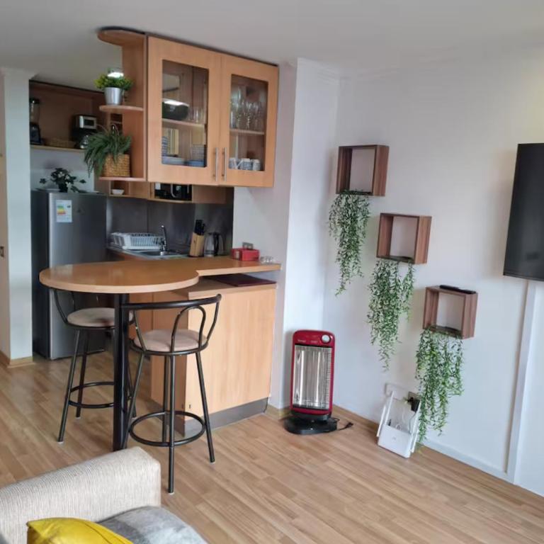 Departamento providencia - One-Bedroom Apartment - 14
