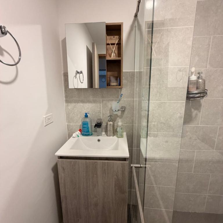 Apartamento en Circasia nuevo, moderno y acogedor cerca del parque - Apartamento de 1 dormitorio - 6