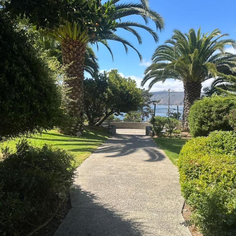 Departamento en Condominio Vista Mar, PAPUDO - Three-Bedroom Apartment - 23