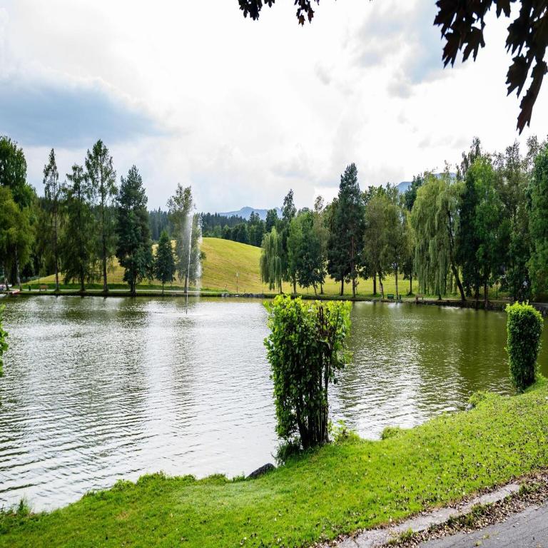 Charming Accommodation in Saalfelden by the Steinernes Meer - Apartamento - 23