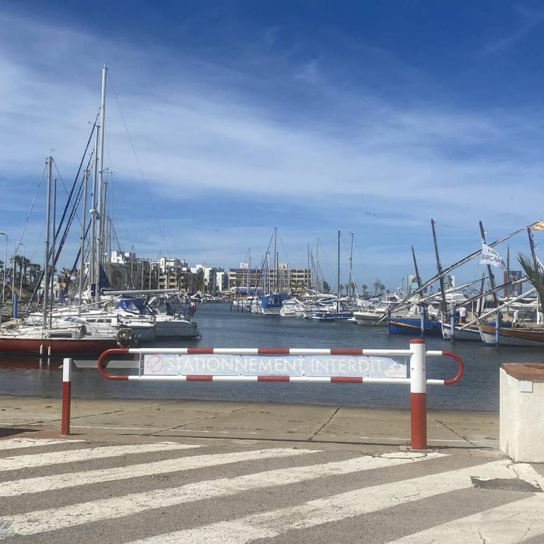 Appartement terrasse vue mer - 4 pers. - FR-1-81-732 - Apartment - 15