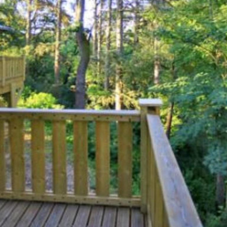 Cabane dans les arbres - 4 pers. - API-1-52-2114 - Maison de Vacances - 3