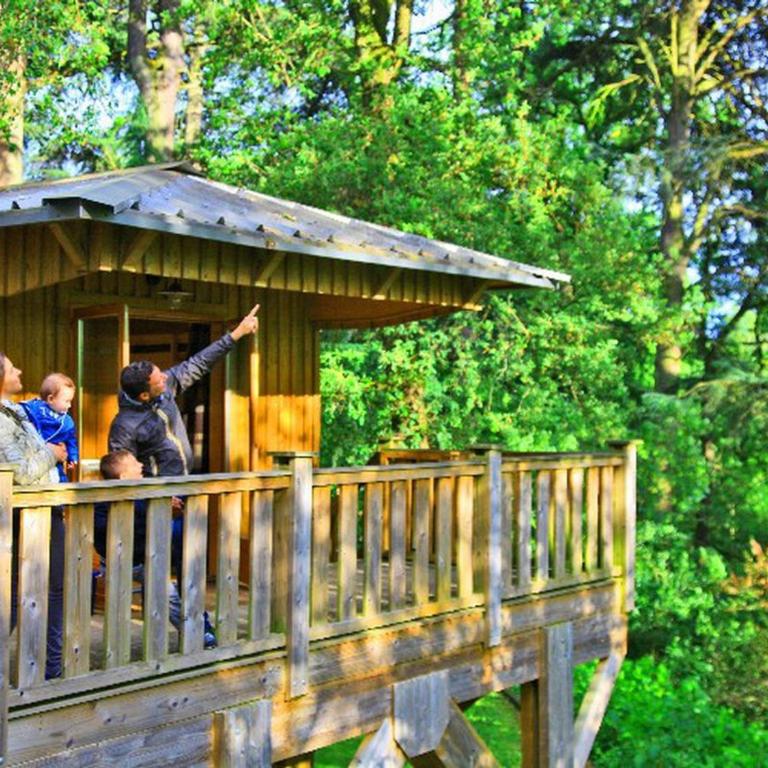 Cabane dans les arbres - 4 pers. - API-1-52-2114 - Maison de Vacances - 20