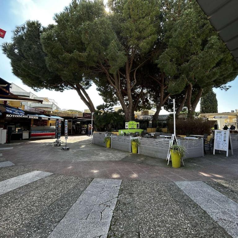 Studio climatisé, au bord de la plage - 3 pers. - FR-1-250-331 - Apartment - 17