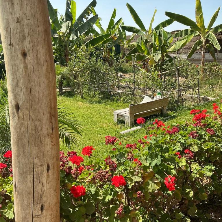Casa de campo con piscina en Chincha - Three-Bedroom House - 24