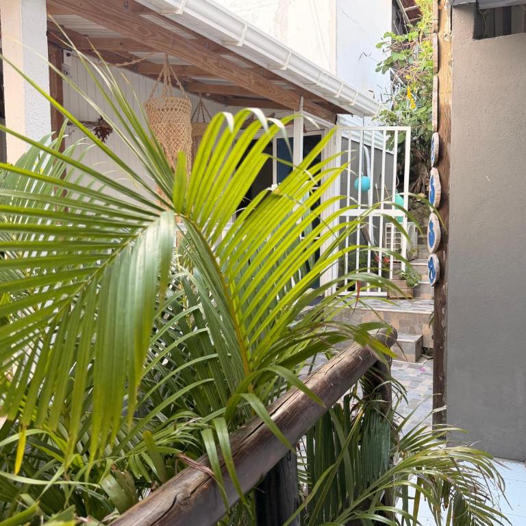 Sunrise view posada - Double Room with Private Bathroom - 8