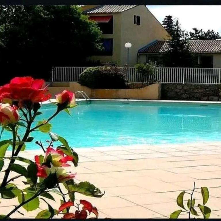 Studio calme avec terrasse et piscine - Studio avec Terrasse - 28