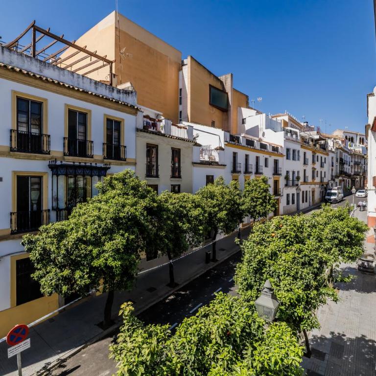 Casa Los Naranjos - Terraza en el Casco Histórico - Casa de 2 dormitorios - 31