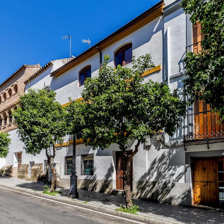 Casa Los Naranjos - Terraza en el Casco Histórico - Casa de 2 dormitorios - 47