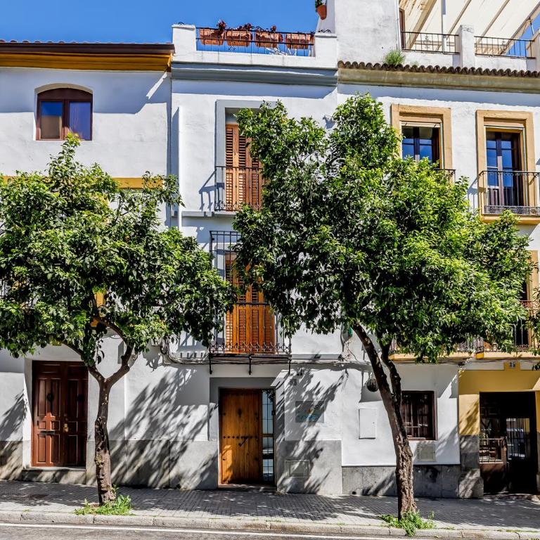 Casa Los Naranjos - Terraza en el Casco Histórico - Casa de 2 dormitorios - 48