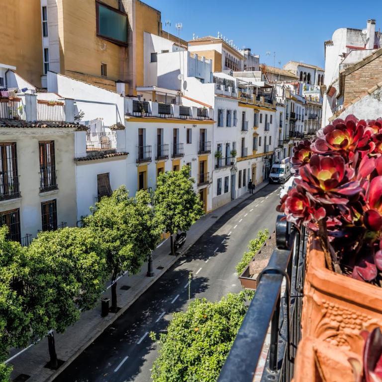 Casa Los Naranjos - Terraza en el Casco Histórico - Casa de 2 dormitorios - 45