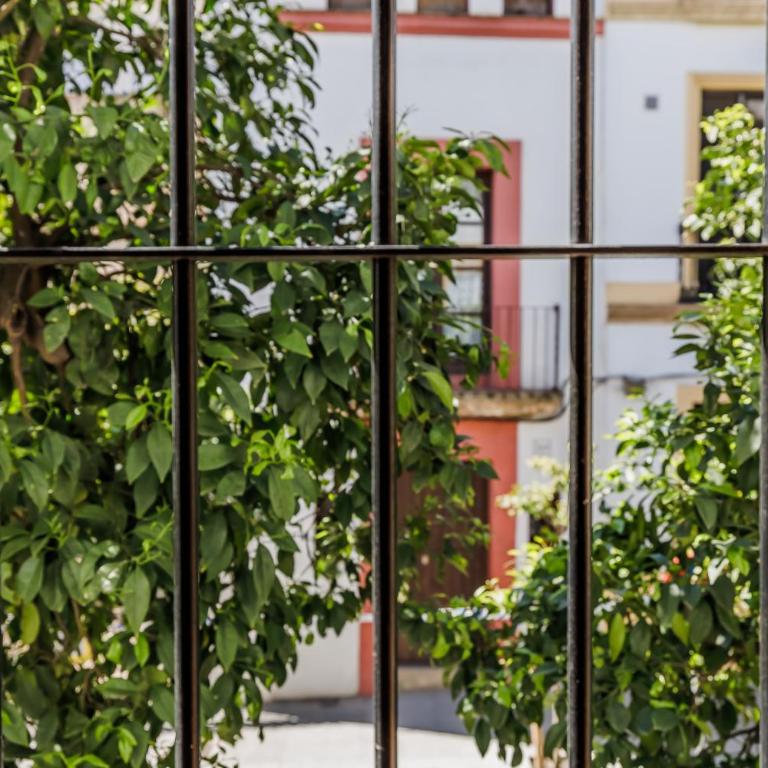 Casa Los Naranjos - Terraza en el Casco Histórico - Casa de 2 dormitorios - 21