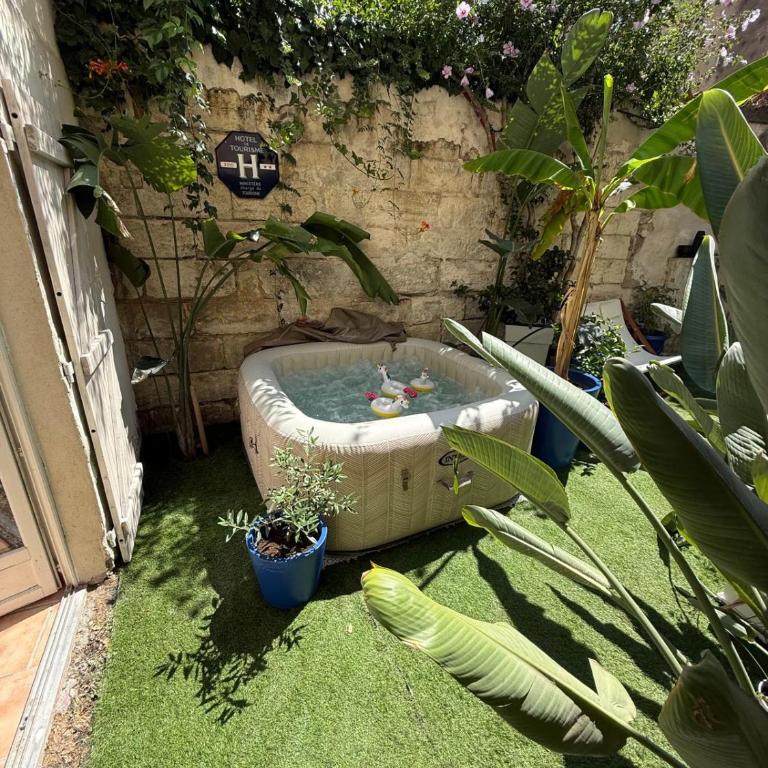 Avignon intra muros spa jardin wifi calme - Appartement 2 Chambres - 1