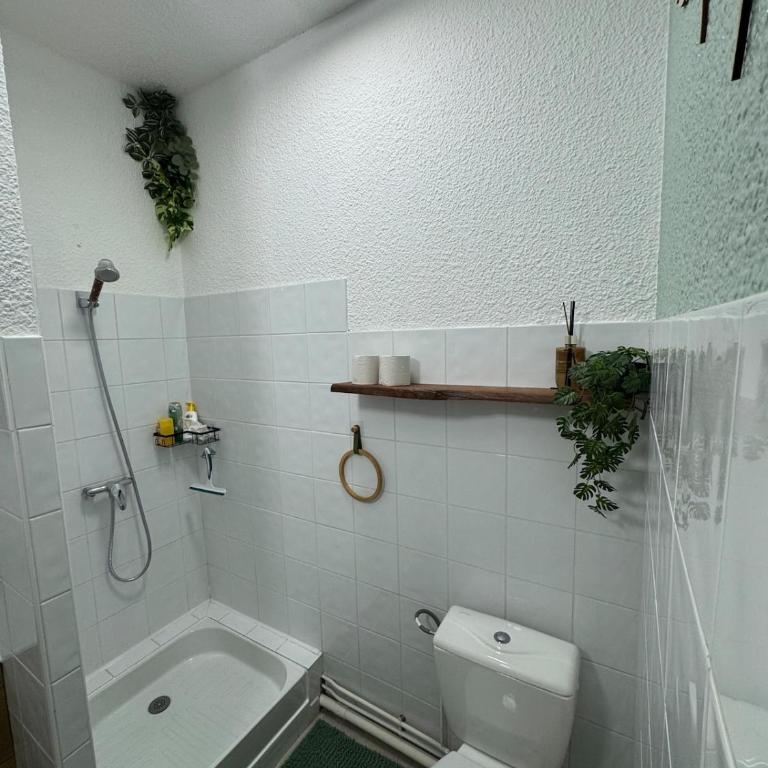 Logement 3 diamants composé de 2 appartements à Saint Lary - Two-Bedroom Apartment - 22
