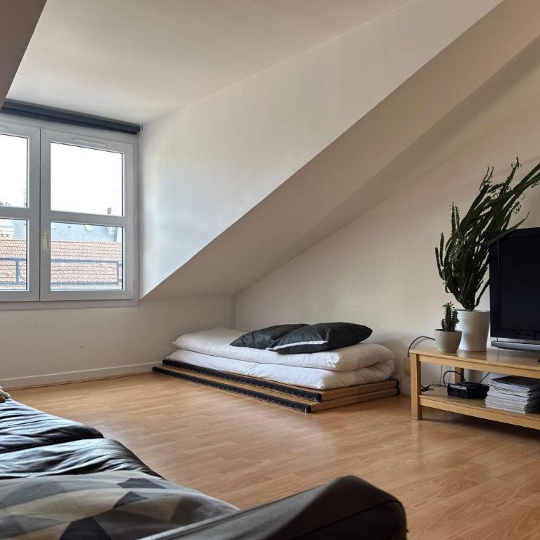 #J1 Escale Grenobloise Splendid building Pedestrian center - Apartment - 12