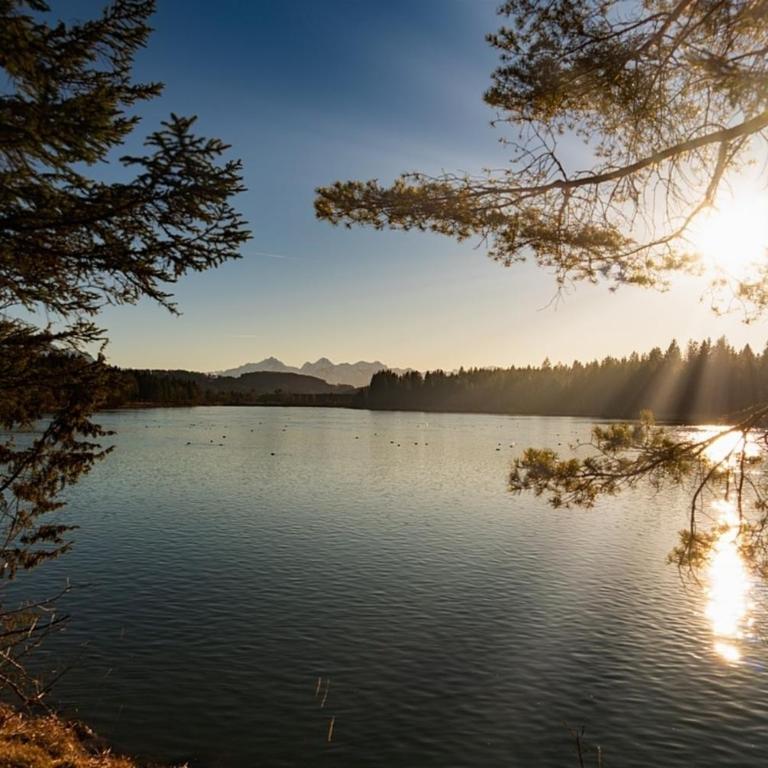 Ferienhaus Nr 102, Kategorie Komfort, Feriendorf Hochbergle, Allgäu - Ferienhaus - 27