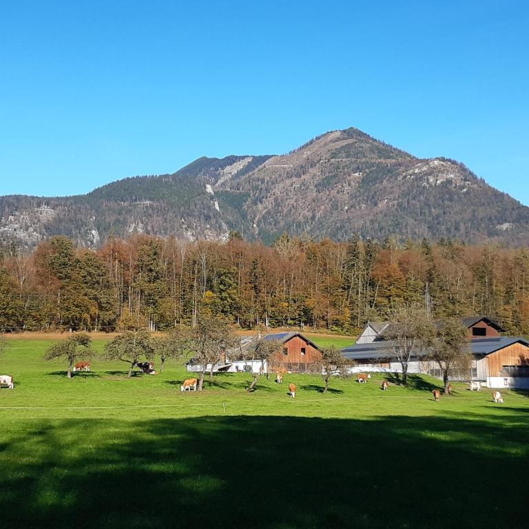 Ferienwohnung Pöllmannbauer - Apartamento de 2 dormitorios - 18