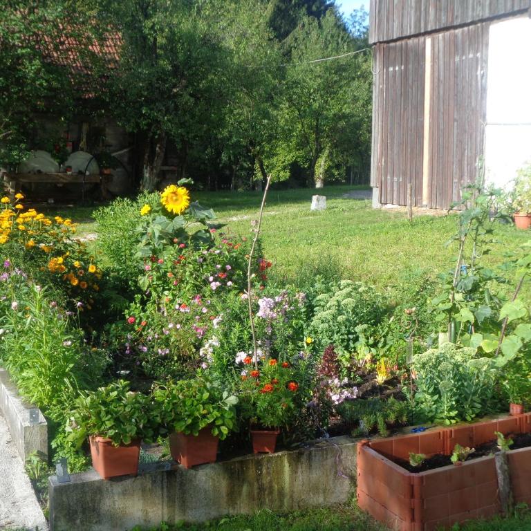 Ferienwohnung Pöllmannbauer - Apartamento de 2 dormitorios - 29