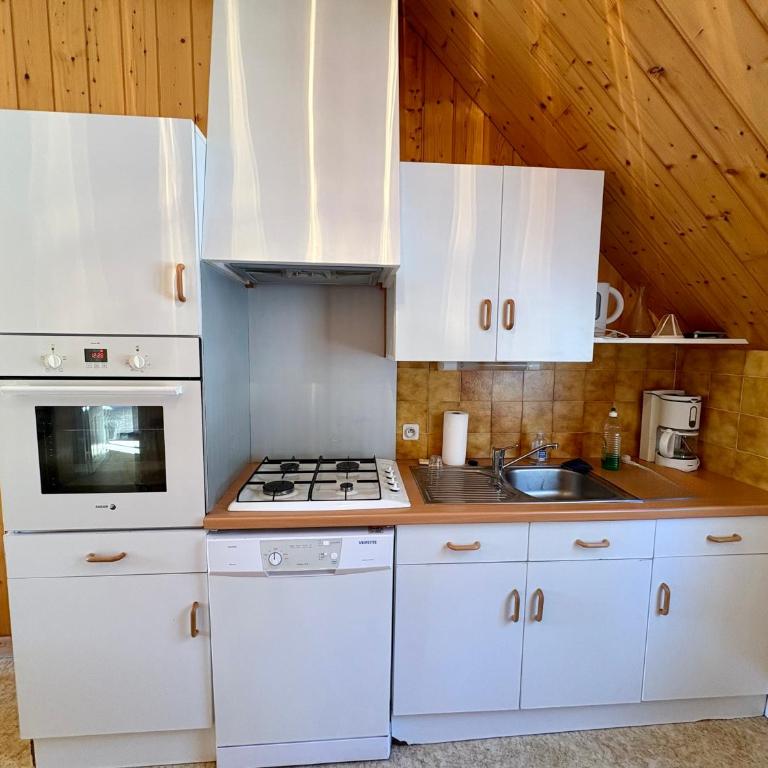 Villa Prairie Mont-Dore Appartements - Apartment mit 1 Schlafzimmer - 11