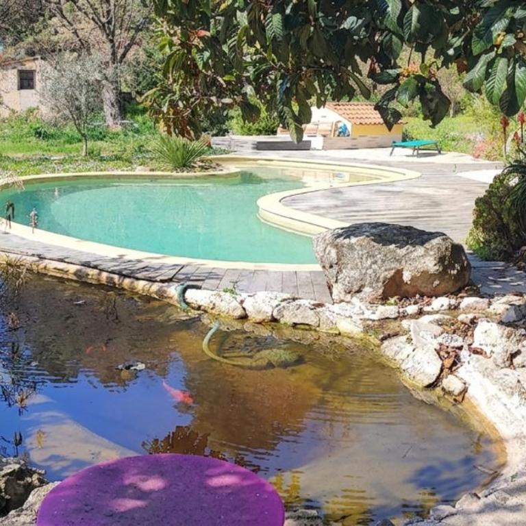 Grand studio 30 m2 dans villa avec piscine proche de Valbonne - Appartement 1 Chambre - 5