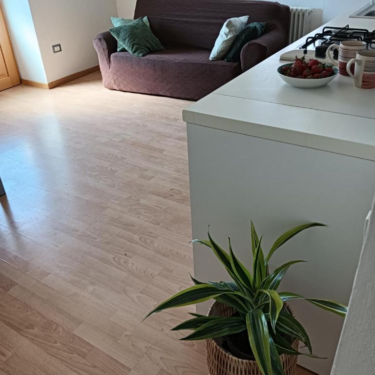 Residenza al Monte appartamento Paganella - Apartamento de 2 dormitorios - 5