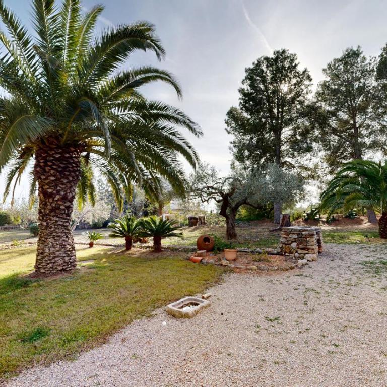 Finca Serena - Three-Bedroom Vacation Home - 21