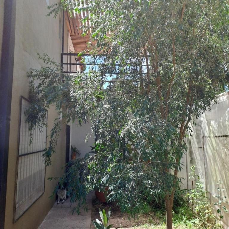 Posada el Búho Chillón - Apartamento de 1 dormitorio - 6